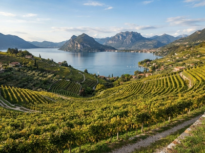 Anbaugebiet für Franciacorta